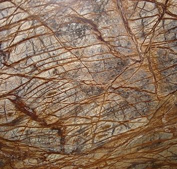 Brown Forest